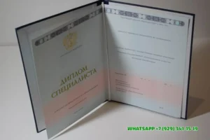 Купить диплом Сибирского филиала МИЭП в г. Новокузнецке — Международного института экономики и права в Челябинске